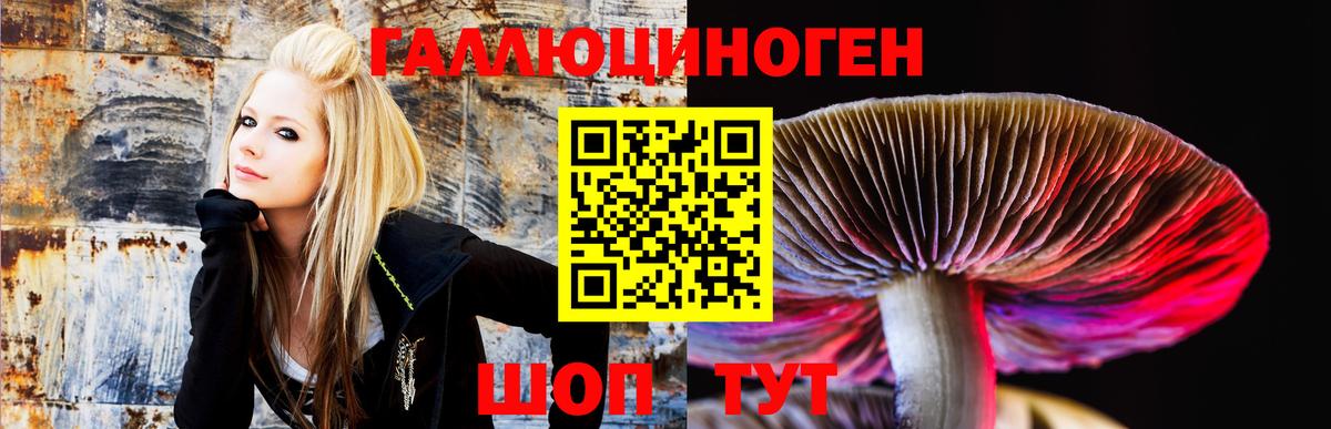 Галлюциногенные грибы прущие грибы Заволжье